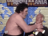 upload_2023-12-2_20-56-45.gif