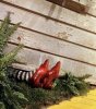 ruby red slippers.jpeg