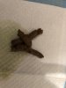 upload_2019-5-24_11-50-46.jpeg