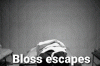 20240711_200415.gif