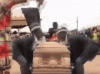 upload_2024-10-28_19-30-12.gif