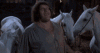 upload_2025-1-18_6-39-9.gif