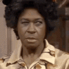 IMG_2134.gif