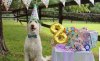 Screenshot_20191110-235923_Google.jpg