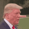 tenor-1.gif