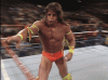 upload_2025-12-11_7-3-31.gif