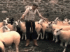 upload_2026-3-21_19-21-27.gif