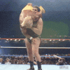 upload_2026-4-29_21-7-15.gif