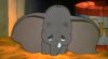 Screenshot_20210714-134457_Google.jpg