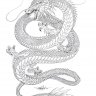 dragonz