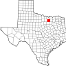 DFW_Rockets_Fan