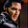 elvis