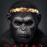 Caesar