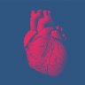 GottaHaveHeart