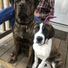 Rustyrig