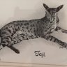 Sandi