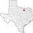 DFW_Rockets_Fan