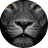 mdrowe00