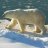 PolarBear